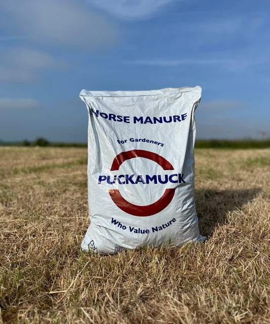 60 Litre Sack – Well rotted horse manure