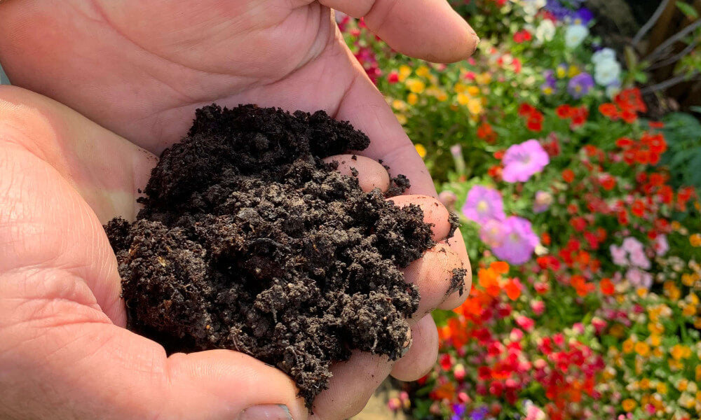60 Litre Sack – Well rotted horse manure