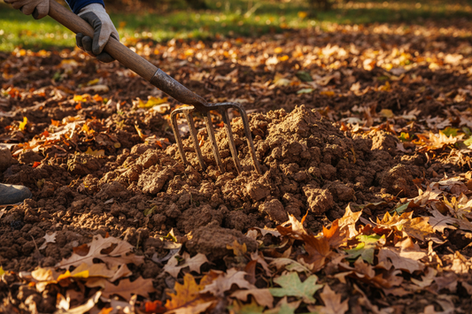 Fork working clay soil surrounded by autumn leaves