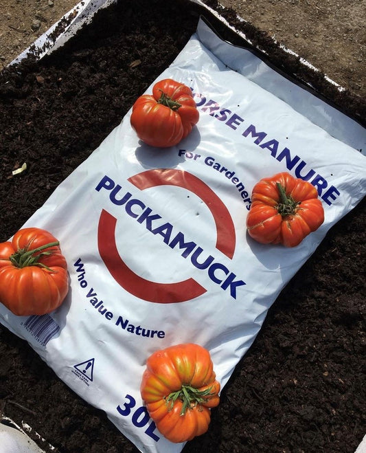 30 Litre Sack Well rotted horse manure
